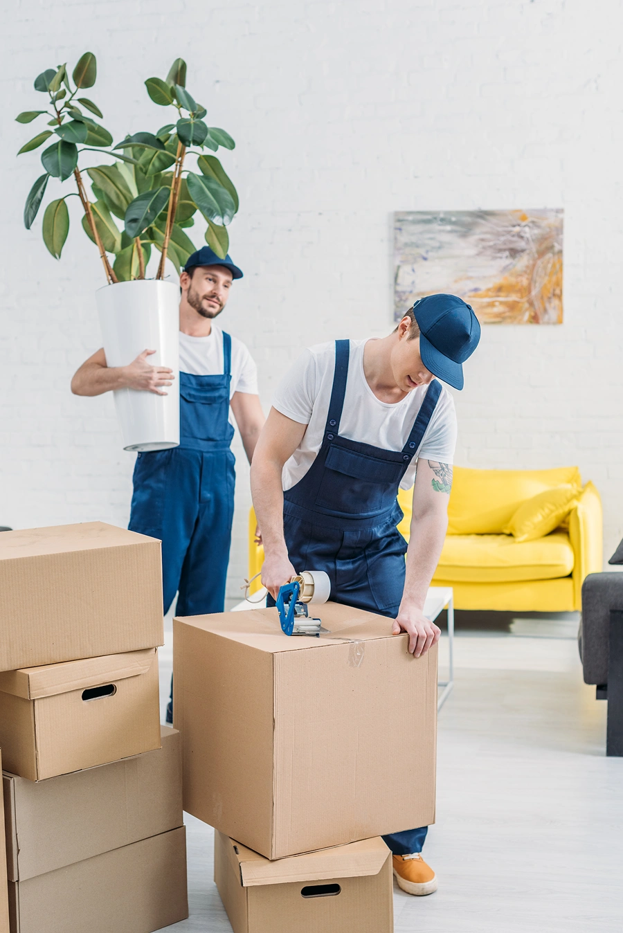 Movers organizing boxes and a plant